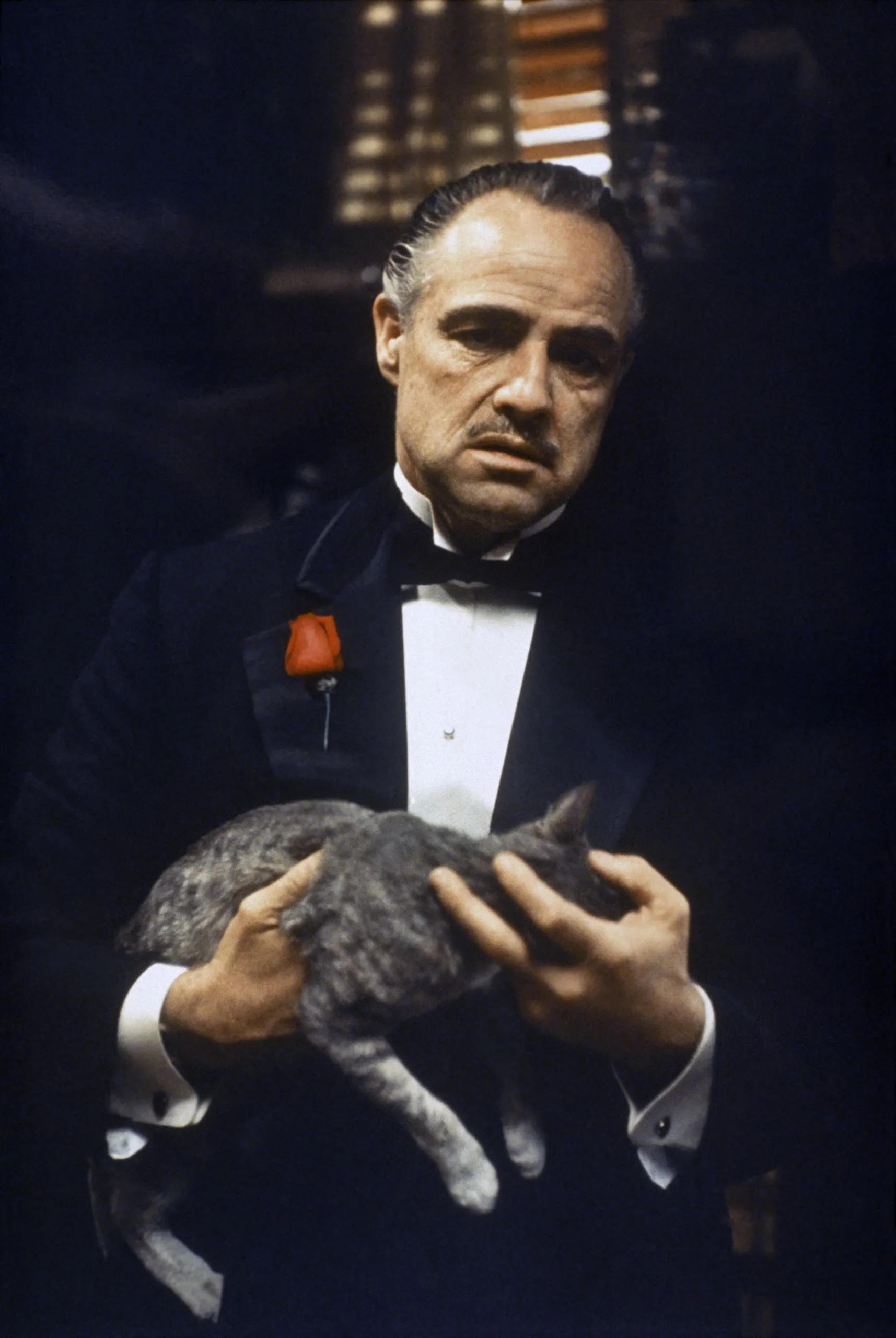 The Real Godfather